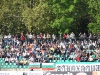 dsc06487-qpr