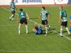 dsc06624-qpr